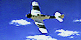 Flug